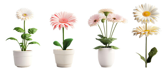 Freshly Cut Flowers Arranged in a White Flowerpot on a White Background