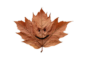 autumn_leaf_closeup_smile_No_shadows_highest_detail