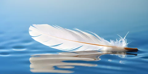 Poster White feather floating in a pool of water, Swan feathers elegantly glide in a reflective scene crafting a serene and poetic tableau.  © Fatima