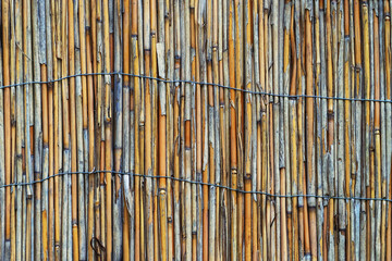 Fence with cattails as background.