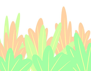 colorful plants landscape illustration