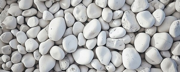 Collection of various rocks and pebbles. Smooth white stones with intricate patterns create abstract and soothing composition. Light and shadow enhances texture and depth to arrangement