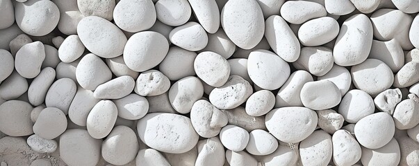 Collection of various rocks and pebbles. Smooth white stones with intricate patterns create abstract and soothing composition. Light and shadow enhances texture and depth to arrangement