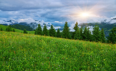 Summer landscape in mountains