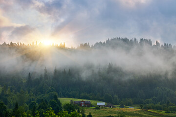mountain meadow in morning light. countryside springtime landscape with valley in fog behind the forest on the grassy hill. fluffy clouds on a bright blue sky.