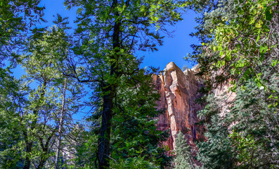 Fototapeta premium Scenic view of Mountains North of Sedona along the West Fork Trail, Arizona