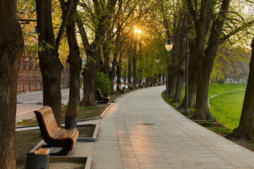 The longest in Europe linden alley in Uzhhorod city. Delicate green foliage of early spring.