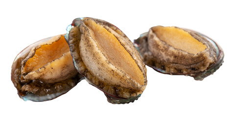 Close up of raw abalone isolated on white background, clipping path cut out.