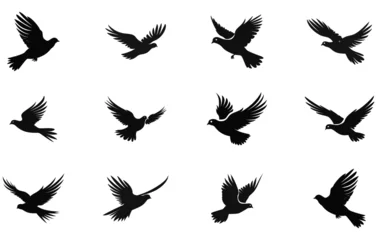 Fotobehang Flying Dove birds silhouettes, isolated bird flying © mdfarhadcreative