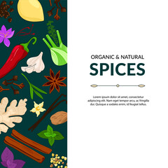 Spices. Hand drawn illustration of different spices on dark background. Use to create menus, packaging, prints.