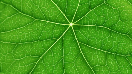 Obraz premium Fresh green leaf texture macro close-up. Generative AI