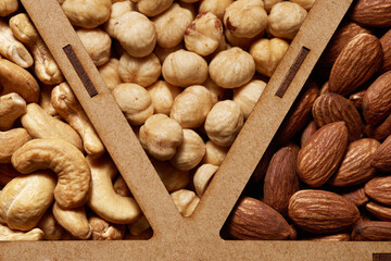 Peeled raw cashew kernels, hazelnuts and almonds on showcase. Close-up top view.