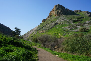 Mount Nitai