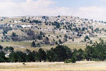 landscape with mountains and trees