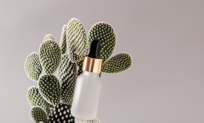 Cosmetic matte bottle with dropper with natural face and body skin care product among thick cactus...