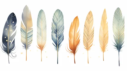 Papier peint Plumes Cute Boho collection, featuring a set of bird feathers on a white background.