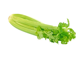 Celery transparent png