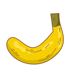 Fruit banana illustration  © ftb_desain