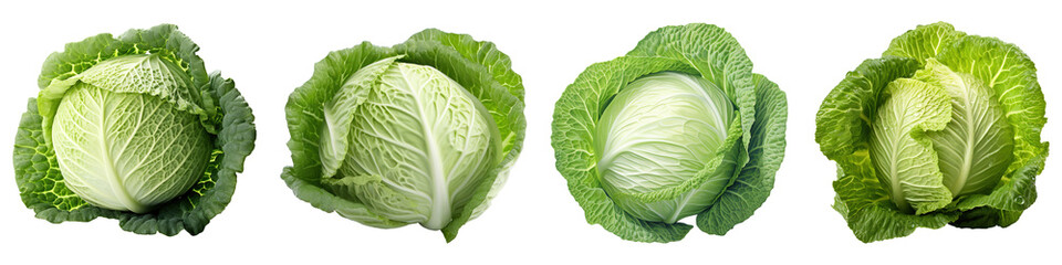 set of cabbage PNG