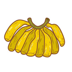 Fruit banana illustration 