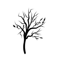 tree branch silhouette vector