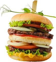 Big double beef burger