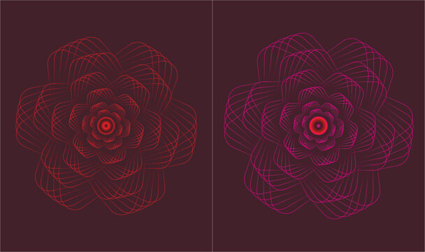 red rose flowre