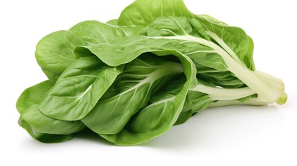 Fresh, vibrant bok choy, a healthy green vegetable. Crisp, with intricate veining, sharp focus, and clean background