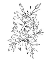 Lily Line Drawing. Black and white Floral Bouquets. Flower Coloring Page. Floral Line Art. Fine Line Lilies illustration. Hand Drawn flowers. Botanical Coloring. Wedding invitation flowers