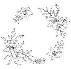 Lily Line Drawing. Black and white Floral Frames. Floral Line Art. Fine Line Lily illustration. Hand Drawn Outline flowers. Botanical Coloring Page. Wedding invitation flowers