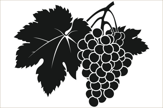 recommend clip art: Grapes silhouette, Bunch of grapes with leaf, Grapes fruit silhouette, Grape silhouette with leaves