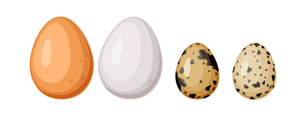 Chicken and quail eggs color vector icon set. Nutrient poultry products illustrations pack isolated on white background. Farm food design