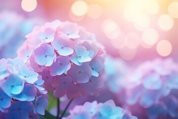 Blue and pink hydrangea flowers on the soft bokeh background. Spring vibes banner with free space.