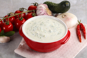 Traditional delicious appetizer; greek tzatziki (Turkish name; cacik)