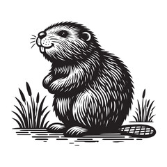 Beaver. Vintage black engraving illustration. Monochrome vector icon. Isolated and cut	 - obrazy, fototapety, plakaty
