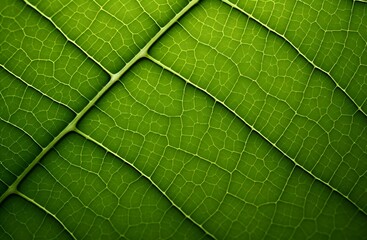 AI illustration of a closeup of a glossy green leaf.