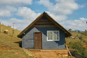 Fototapeta premium Akha Farmville, the only sheep farm of Doi Chang, Chiang Rai,Thailand