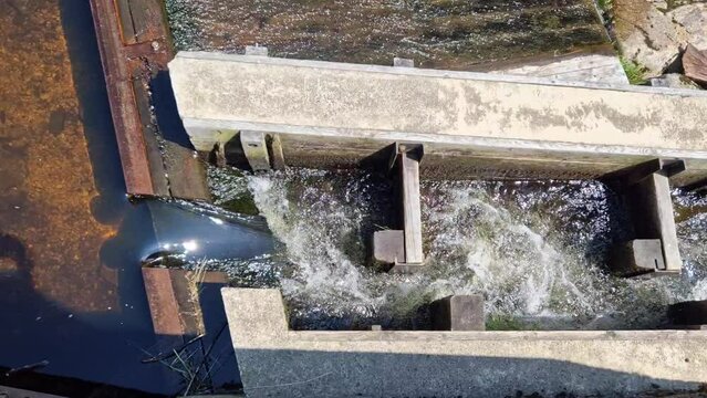  turbid water during the flood falls from large dams and forms a lot of foam. fish pass is a neutrality for overcoming the height differences of hydroelectric power plants and weirs for fish.