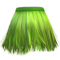 Grass skirt, PNG image
