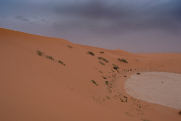 Fototapeta na wymiar footprints in the dunes