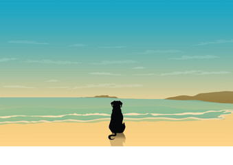 BEACH BACKGROUND WITH DOG