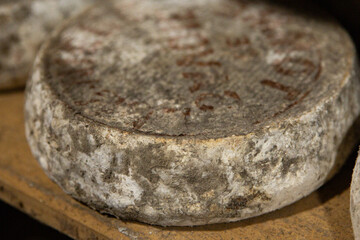 cheese head cellar ready to eat cooking anatural ppetizer eating meal food snack on the table copy space food background rustic top view