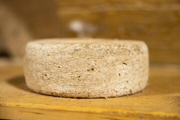 cheese head cellar ready to eat cooking anatural ppetizer eating meal food snack on the table copy space food background rustic top view