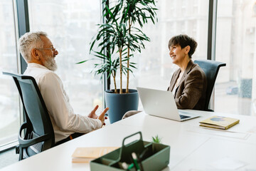 Portrait of professional man and woman sharing ideas during meeting in conference room