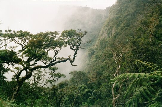 Horton Plains auf Sri lanka