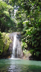 Une grande cascade dans la luxuriante forêt tropicale