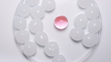 Lots of white hydrogel spheres with one pink one. The shiny round spheres of gel glisten against the white studio background.