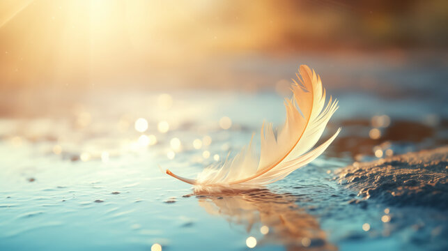Feather afloat on shimmering water.