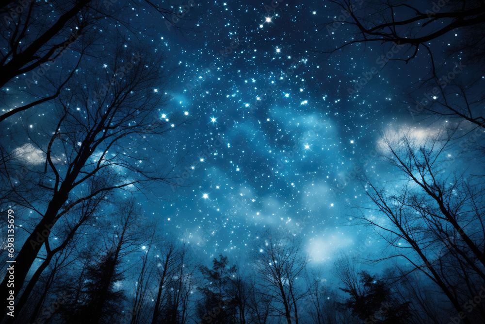 Wall mural Blue dark night sky with stars above forest