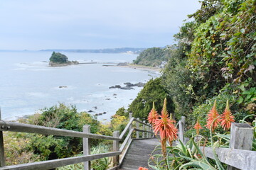 アロエの里付近の風景　静岡県下田市　Scenery near Aloe no Sato Shimoda City,...